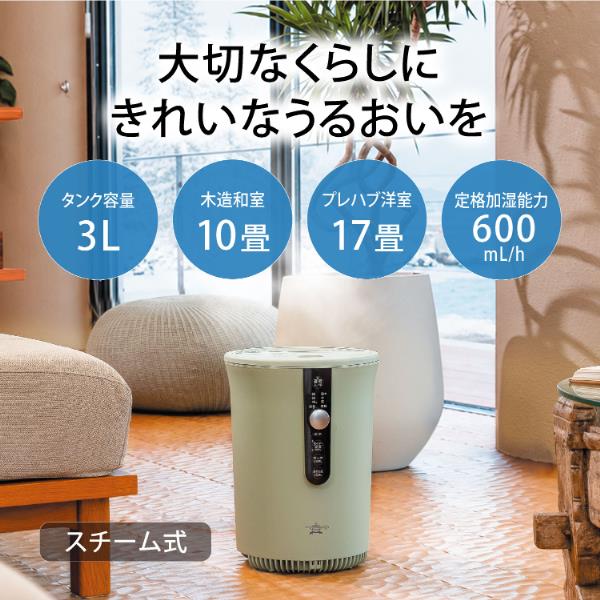 アラジン スチーム式加湿器[容量3L/加湿能力600ml／m/グリーン