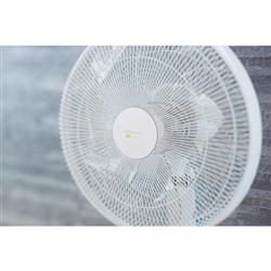 【美品】アピックス　扇風機 【DCモーター/省エネ風量12段階】AFL-285R Amazon | アピックス DCフロアー扇風機 40cm 7枚羽根12段階の