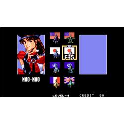 新品 Switch アケアカNEOGEO セレクション Vol.5 即購入OK Switch】アケアカNEOGEO セレクション Vol.5 | SNK | HAC-P