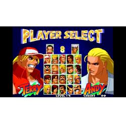 Switch】 アケアカNEOGEO セレクション Vol.10 | ノジマオンライン