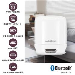 オーム電機 ASP-W125N-W