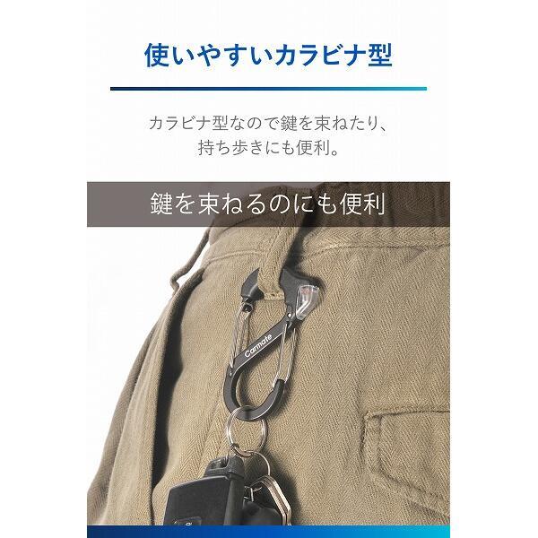 カーメイト レジテック カラビナS【静電気除去】 DZ580 | ノジマオンライン