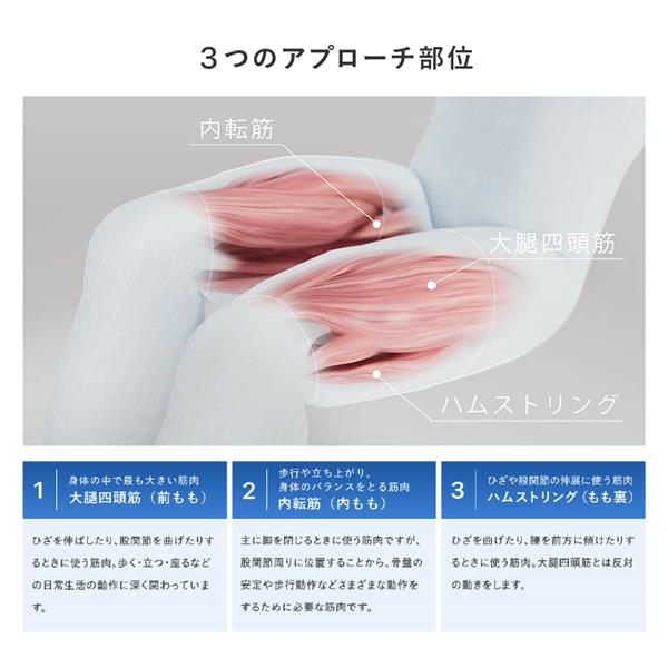 【新品未使用】SIXPAD 正規品　LegBelt SIXPAD シックスパッド レッグベルト2（SIXPAD Leg Belt 2 M-Lサイズ