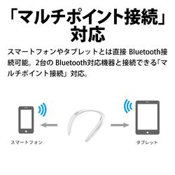 SHARP AN-SS3-A AQUOS サウンドパートナー【Bluetooth/軽量/生活