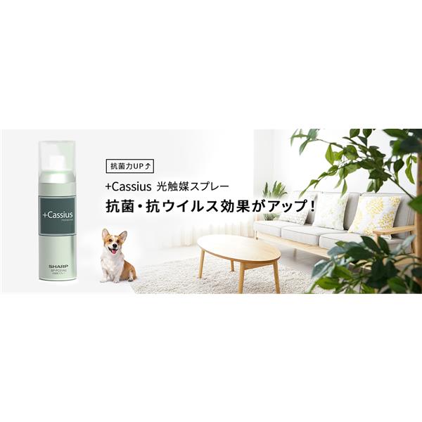 空気触媒NS-C 業務用スプレー　10本　触媒　除菌 楽天市場】触媒 スプレー 消臭の通販