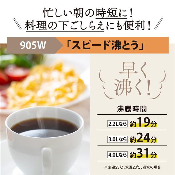 ZOJIRUSHI CV-GC30 VE電気まほうびん【優等生/3.0L/ライト