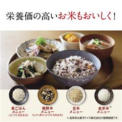 ZOJIRUSHI NWFB18-BZ 圧力IH炊飯ジャー【炎舞炊き/1升/豪炎かまど釜