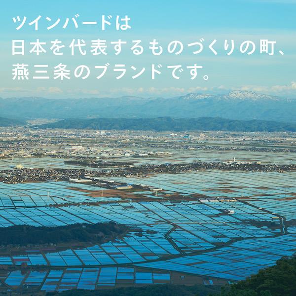 TWINBIRD TS-D486B オーブントースター 匠ブランジェトースター
