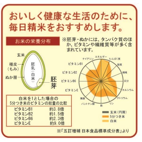 TWINBIRD MR-E520W コンパクト精米器 精米御膳 ホワイト | ノジマ 