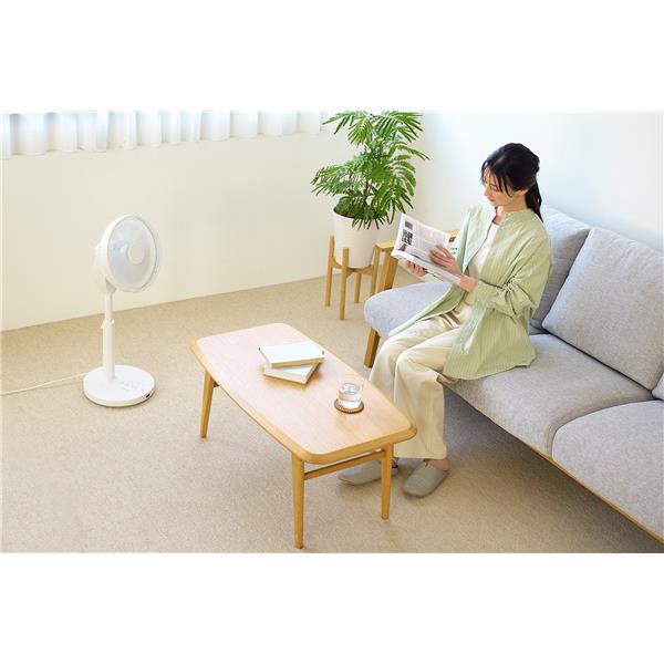 TWINBIRD サーキュレーション扇風機【3D首振り/風量切替10段階/DC