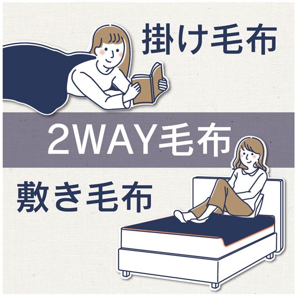 ZEPEAL DM-Y30FKSK-NV 電気掛敷毛布【約188×130cm/ダニ除け/3