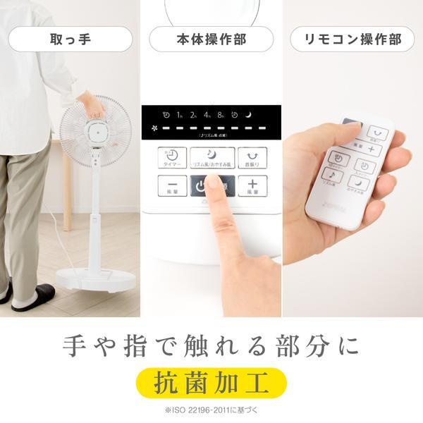 本日のタイムセール - ホットプレート / ホット 天龍 Rayz 価格