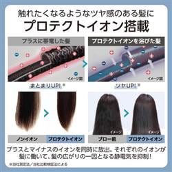 テスコム プロテクトイオンドライヤー[大風速/軽量/コンパクト/海外