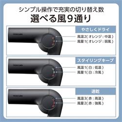 テスコム プロテクトイオンドライヤー[大風速/軽量/コンパクト/海外