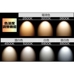 株）TJMデザイン タジマ LEDワークライトR151 LE-R151 | ノジマ