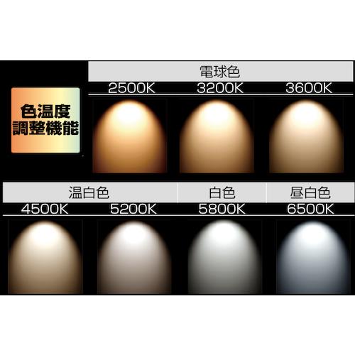 株）TJMデザイン タジマ LEDワークライトR151 LE-R151 | ノジマ