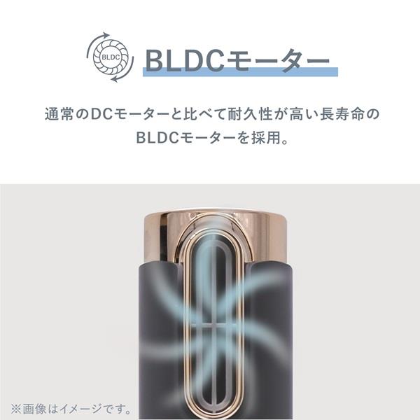 VENUSiS スリムフィットドライヤー ワールド 海外対応 ゴールド VDS