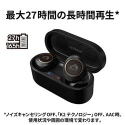 オーディオ機器 イヤフォン JVC HA-FW1000T イヤホン 【ワイヤレス(左右分離)/Bluetooth/マイク 