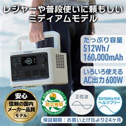 Victor ポータブル電源【充電池容量 512Wh/160000mAh】 BN-RF510