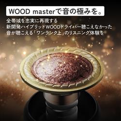 JVCケンウッド ワイヤレスイヤホン ノイズキャンセリング サンバースト