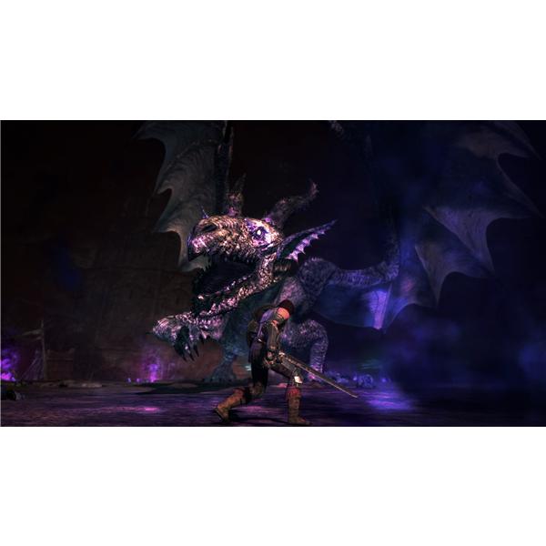Capcom Hac P Aptya Switch ドラゴンズドグマ ダークアリズン 通常版 ノジマオンライン