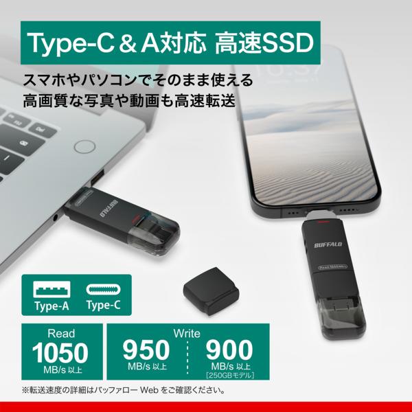 BUFFALO Type-C/Type-A両対応 スティック型SSD 高速タイプ SSD