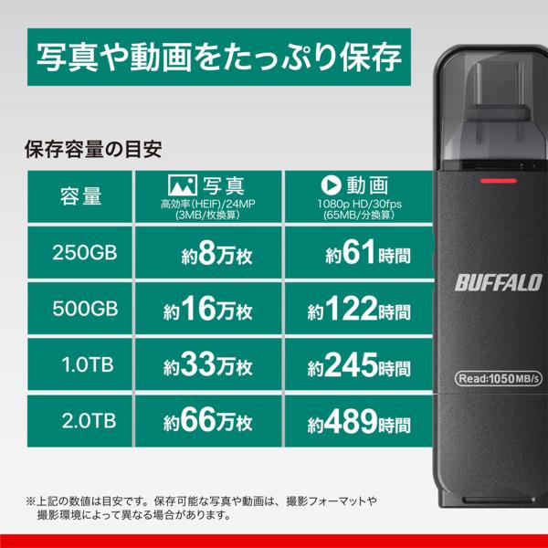 BUFFALO Type-C/Type-A両対応 スティック型SSD 高速タイプ SSD