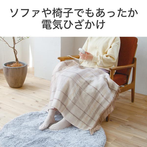 コイズミ 電気ひざ掛け 抗菌防臭 洗える毛布 ダニ退治 KDH40254