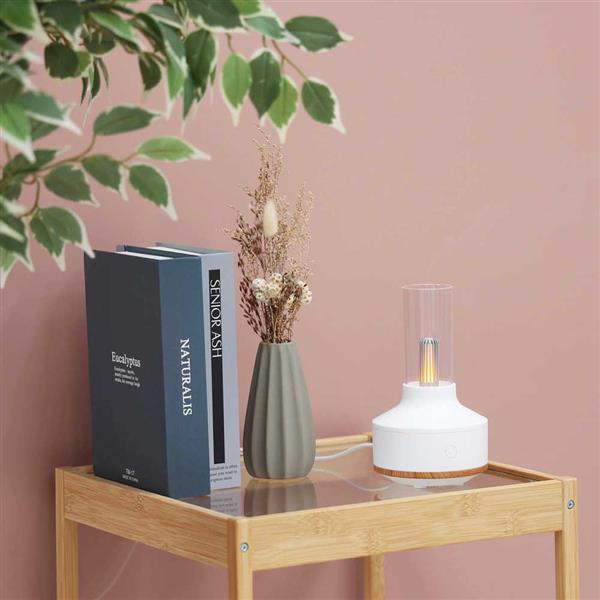 エレス 超音波式アロマディフューザー アロミストランプ 容量150mL