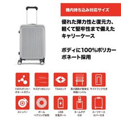RADWIMPS KONNICHIWA NIPPON スーツケース こんにちは日本 ～KONNICHIWA NIPPON～ TOUR 2020 オフィシャル