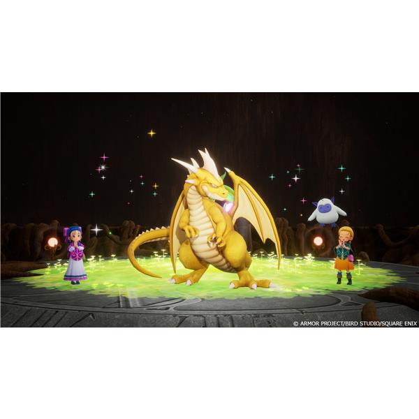 PS5】ドラゴンクエストモンスターズ4 枯れ木の国のビアンカ・フローラ