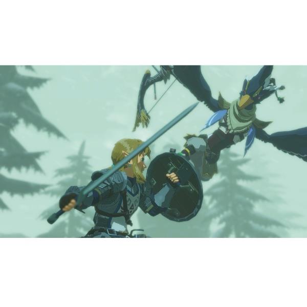 Switch2】 ゼルダ無双 厄災の黙示録 DX | ノジマオンライン