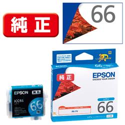 EPSON ICC66