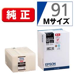 EPSON ICBK91M