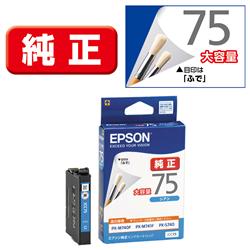 EPSON ICC75