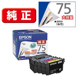 EPSON IC4CL75