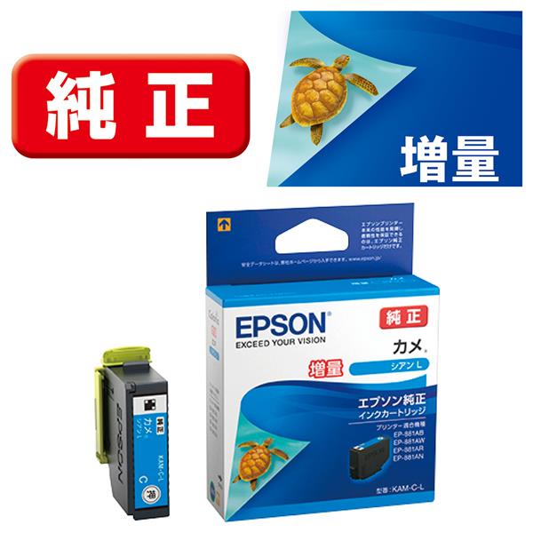 正規 EPSON エプソン トナーカートリッジ 純正 LPC4T9C レーザー