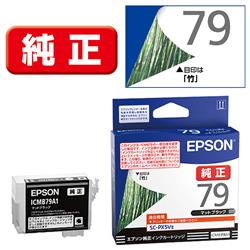 EPSON ICMB79A1