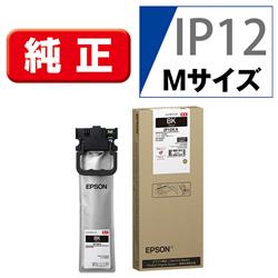 EPSON IP12KA