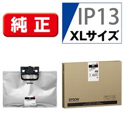 EPSON IP13KA