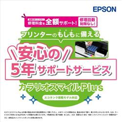 EPSON SL80TD5R