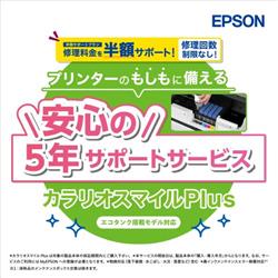 EPSON SL50TD5R