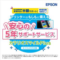 EPSON SL30CD5R