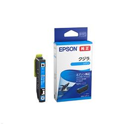 EPSON KZR-C