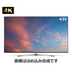 エルジー テレビ本体 通販