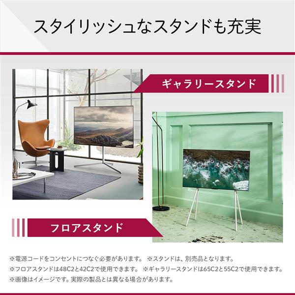 LG OLED48C2PJA 有機ELテレビ OLED 48C2PJA 【48V型 /4K対応 /BS・CS 