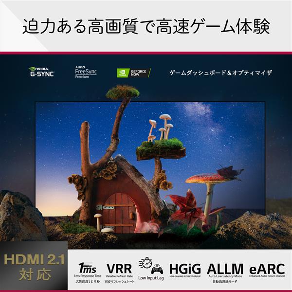 LG OLED42C2PJA 有機ELテレビ OLED 42C2PJA 【42V型 /4K対応 /BS・CS