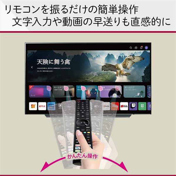 LG 43QNED80TJA 液晶テレビ 量子ドット 43V型 4K対応 BS 4Kチューナー内蔵 YouTube対応 Netflix対応 |  ノジマオンライン