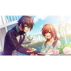 Switch】 Glass Heart Princess(グラスハートプリンセス) for Nintendo