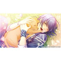 Switch】 Glass Heart Princess(グラスハートプリンセス) for Nintendo